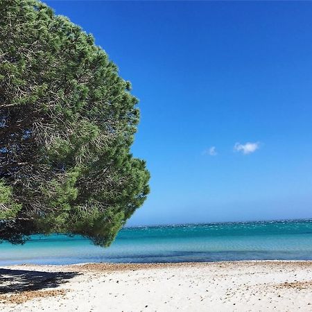 Appartement Proche Des Plus Belles Plages Porto-Vecchio  Exterior foto